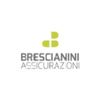 Brescianini Assicurazioni logo, Brescianini Assicurazioni contact details