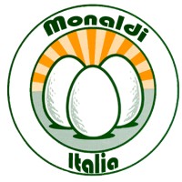 Monaldi Italia S.r.l logo, Monaldi Italia S.r.l contact details