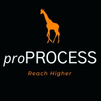 proProcess, LLC logo, proProcess, LLC contact details