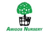 Amigos Nursery logo, Amigos Nursery contact details