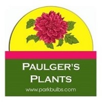 Paulger's Plants logo, Paulger's Plants contact details