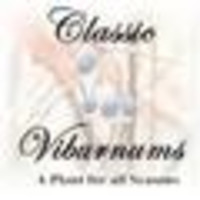 Classic Viburnums logo, Classic Viburnums contact details