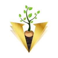 Vedic Equity logo, Vedic Equity contact details