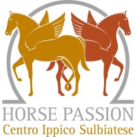 SSD CENTRO IPPICO SULBIATESE logo, SSD CENTRO IPPICO SULBIATESE contact details