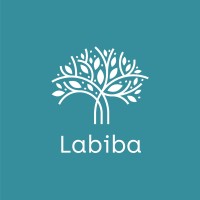 LabibaNetwork logo, LabibaNetwork contact details