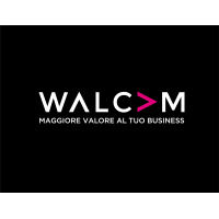 Walcam Srl logo, Walcam Srl contact details