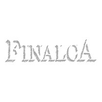 FINALCA Srl logo, FINALCA Srl contact details