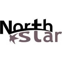 North Star Srl logo, North Star Srl contact details