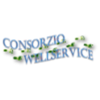 CONSORZIO WELLSERVICE logo, CONSORZIO WELLSERVICE contact details