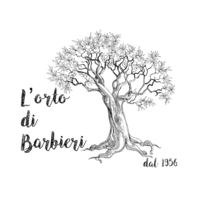 OrtoBarbieri logo, OrtoBarbieri contact details