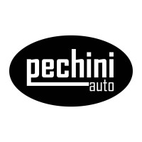 Pechini Auto logo, Pechini Auto contact details