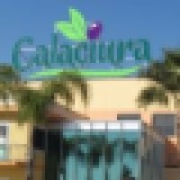 CALACIURA SALVATORE SRL logo, CALACIURA SALVATORE SRL contact details