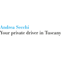 Andrea Secchi Private Driver logo, Andrea Secchi Private Driver contact details