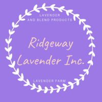 Ridgeway Lavender logo, Ridgeway Lavender contact details