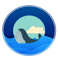 SafeOcean logo, SafeOcean contact details