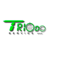 TRIODO SERVICE SNC logo, TRIODO SERVICE SNC contact details