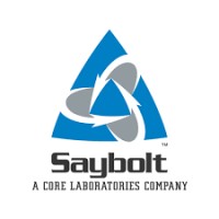 Saybolt Italia logo, Saybolt Italia contact details