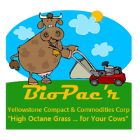 Yellowstone Compact & Commodities Corp. logo, Yellowstone Compact & Commodities Corp. contact details