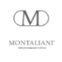 MONTALIANI SRL logo, MONTALIANI SRL contact details