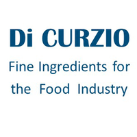 Di Curzio Srl logo, Di Curzio Srl contact details