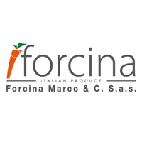 Forcina Marco & C. S.a.s logo, Forcina Marco & C. S.a.s contact details