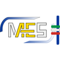 Magdi Alimerigo El Sawi (MAES) Consulting logo, Magdi Alimerigo El Sawi (MAES) Consulting contact details