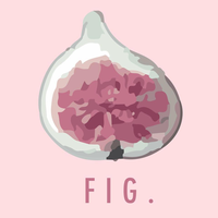 Fig. Creative logo, Fig. Creative contact details