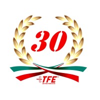 TFE Elettroerosione logo, TFE Elettroerosione contact details