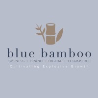 Blue Bamboo Strategies logo, Blue Bamboo Strategies contact details