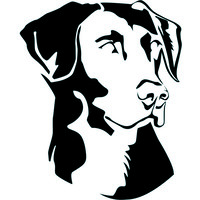 Field Dog Life Media Group logo, Field Dog Life Media Group contact details