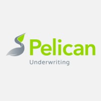 Pelican Underwriting Management Limited logo, Pelican Underwriting Management Limited contact details