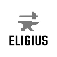 Eligius Corporation logo, Eligius Corporation contact details