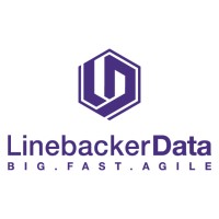 LinebackerData logo, LinebackerData contact details