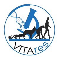 Vitares logo, Vitares contact details