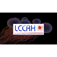 LCCRH - Laboratoire Cellules Circulantes Rares Humaines logo, LCCRH - Laboratoire Cellules Circulantes Rares Humaines contact details