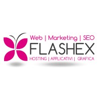 Flashex Web Agency logo, Flashex Web Agency contact details