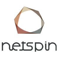 Netspin SRL logo, Netspin SRL contact details