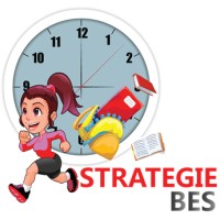 Strategie BES logo, Strategie BES contact details