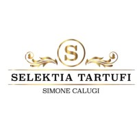 SELEKTIA ITALIA SRL logo, SELEKTIA ITALIA SRL contact details