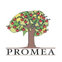 PROMEA S.P.A. logo, PROMEA S.P.A. contact details