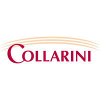 Collarini Engineering Inc., dba Collarini Associates logo, Collarini Engineering Inc., dba Collarini Associates contact details