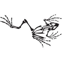 Bone Frog Energy logo, Bone Frog Energy contact details