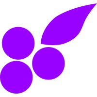 BlackCurrant Hydrogen Marketplace logo, BlackCurrant Hydrogen Marketplace contact details