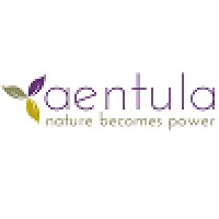 Aentula Srl logo, Aentula Srl contact details