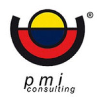 PMI CONSULTING di Bonassi Davide logo, PMI CONSULTING di Bonassi Davide contact details