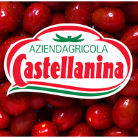 Società Agricola Castellanina Srl logo, Società Agricola Castellanina Srl contact details