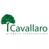 Fratelli Cavallaro Società Agricola logo, Fratelli Cavallaro Società Agricola contact details