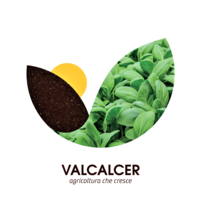 F.LLI VALCALCER S.R.L. - SOCIETA' AGRICOLA logo, F.LLI VALCALCER S.R.L. - SOCIETA' AGRICOLA contact details