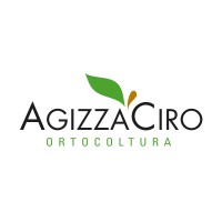 Agizza Ciro logo, Agizza Ciro contact details