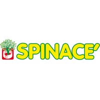 Spinacè Srl logo, Spinacè Srl contact details